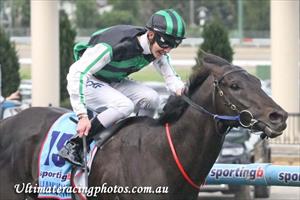 Cox Plate winner Shamus Award resumes in Orr 